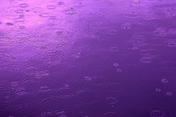 A purple puddle is a danger to others