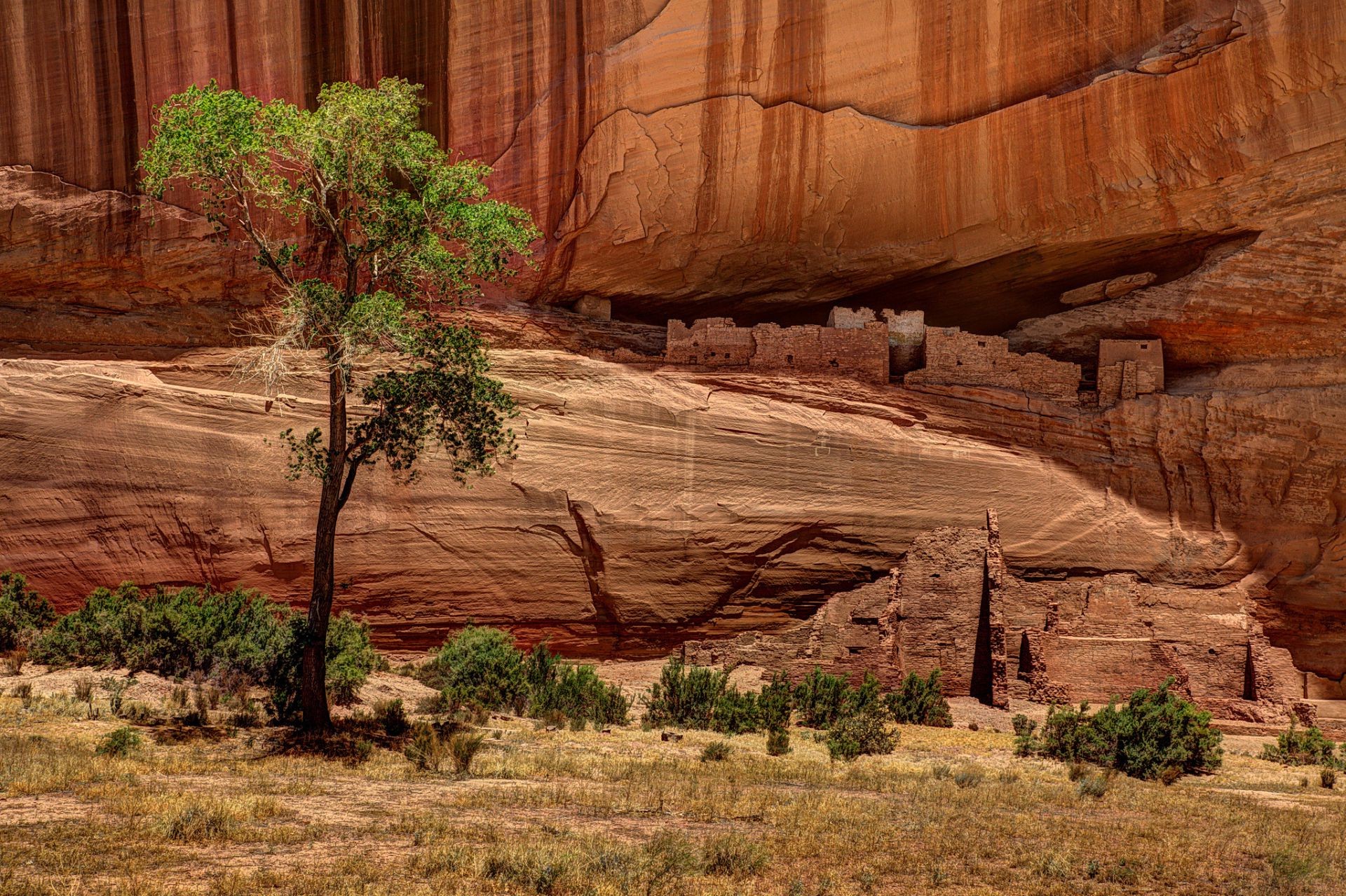 canyon arenaria viaggi deserto all aperto canyon natura roccia paesaggio parco arid geologia sabbia scenico albero secco rocce