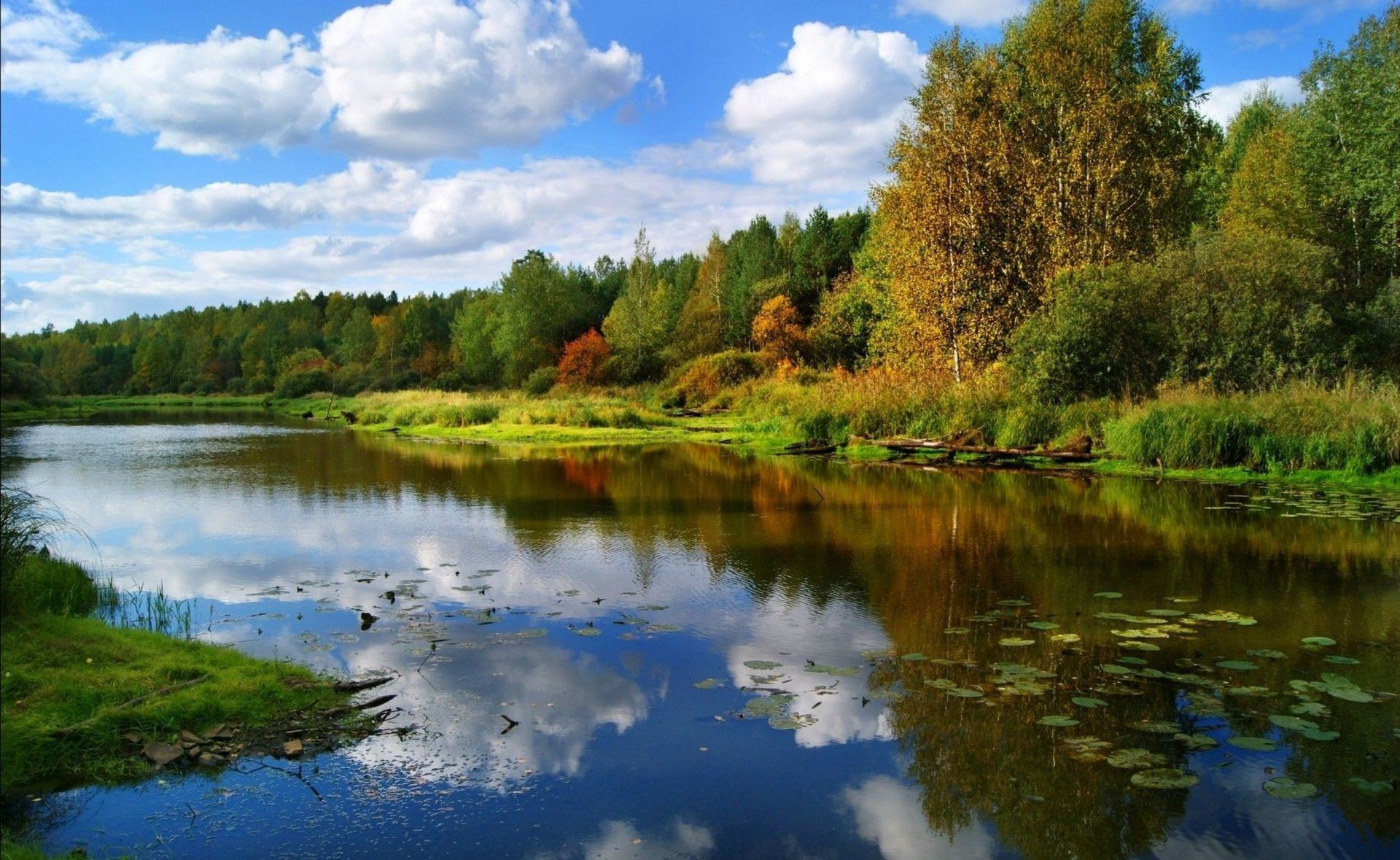 flüsse teiche und bäche teiche und bäche see wasser reflexion landschaft natur fluss im freien baum schwimmbad landschaftlich holz himmel gelassenheit plesid sommer idylle tageslicht