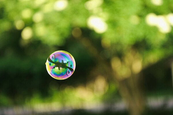 Una gota multicolor congelada en el aire