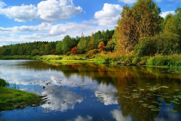 Helle Natur. Schönes Meer