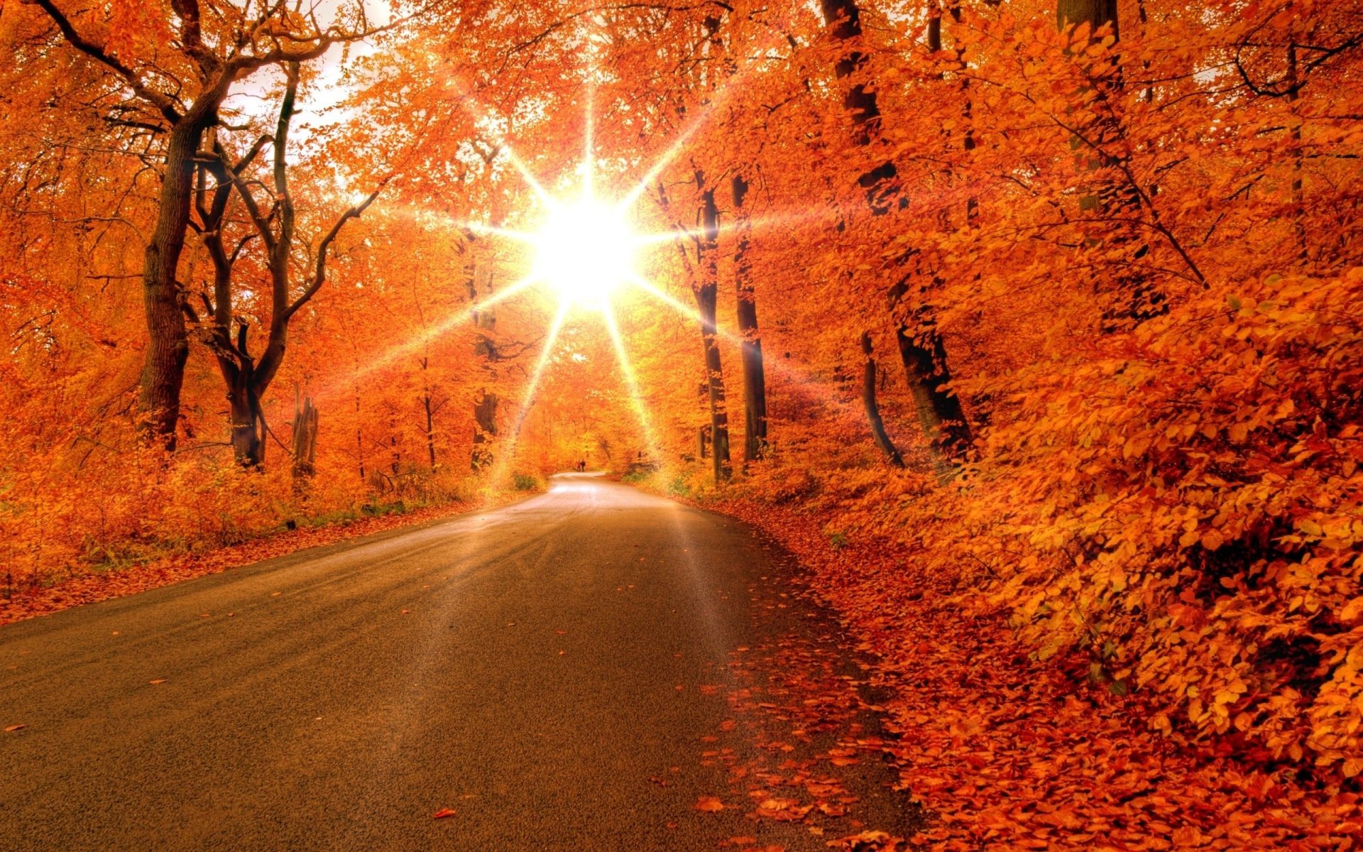 sonnenuntergang und dämmerung straße herbst licht unschärfe im freien landschaft dämmerung