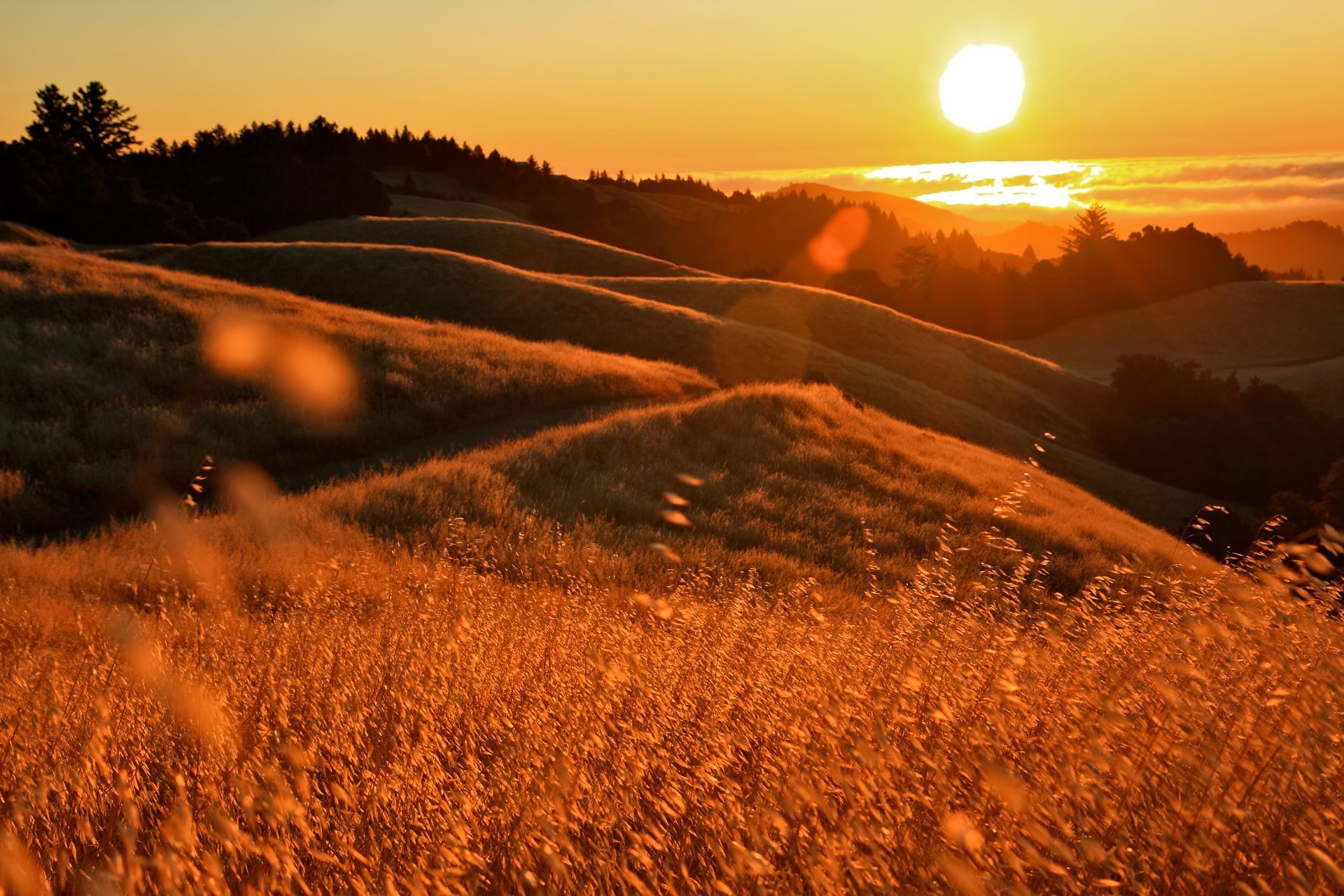 the sunset and sunrise sunset landscape dawn nature travel sky evening outdoors dusk sun desert