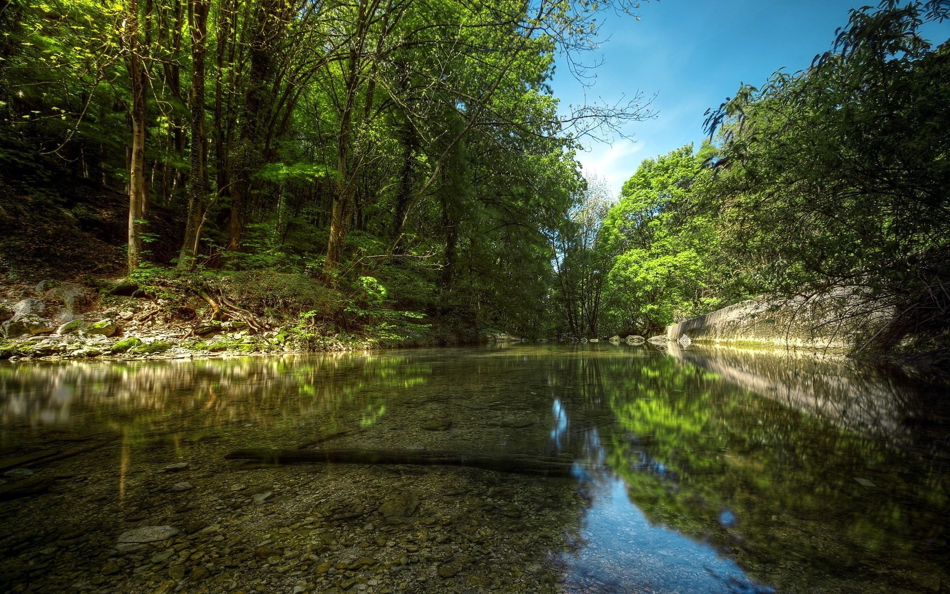 flüsse teiche und bäche teiche und bäche landschaft natur holz wasser fluss baum blatt umwelt licht reisen park im freien wild fluss sommer