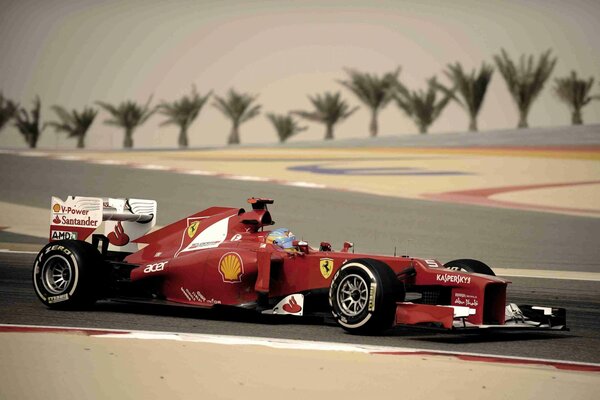 Alonso Alonso ferrari Ferrari Bahrein