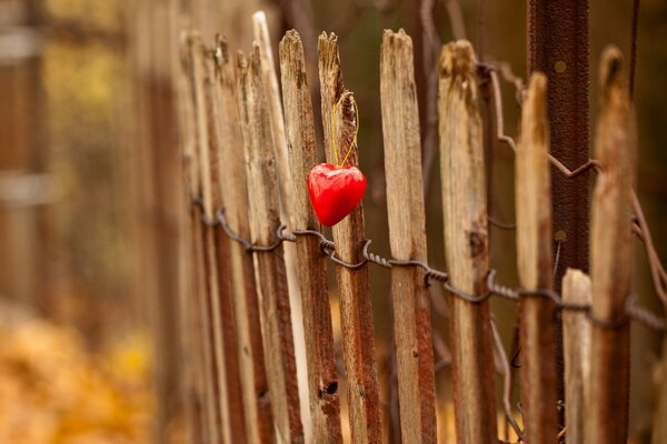 Cerca macro y llavero corazón