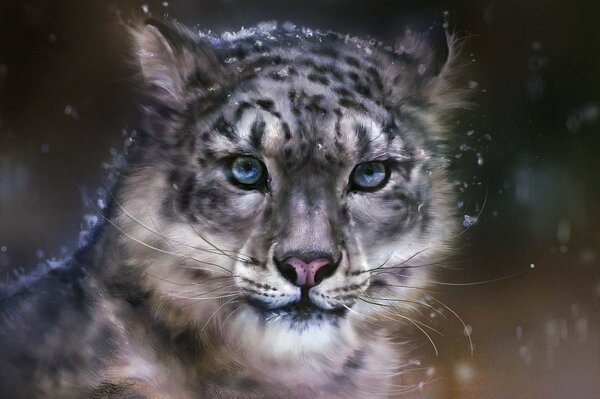 Leopard. Portrait of an animal of mysterious, wild nature