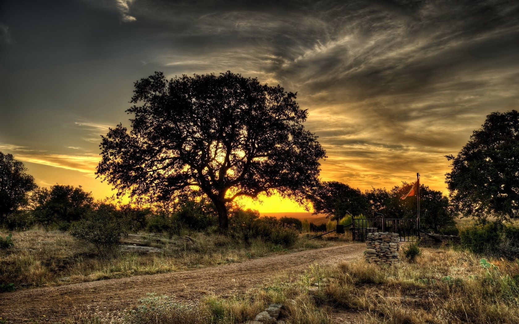 tramonto e alba paesaggio tramonto albero natura alba cielo sole erba all aperto legno sera autunno campagna bel tempo