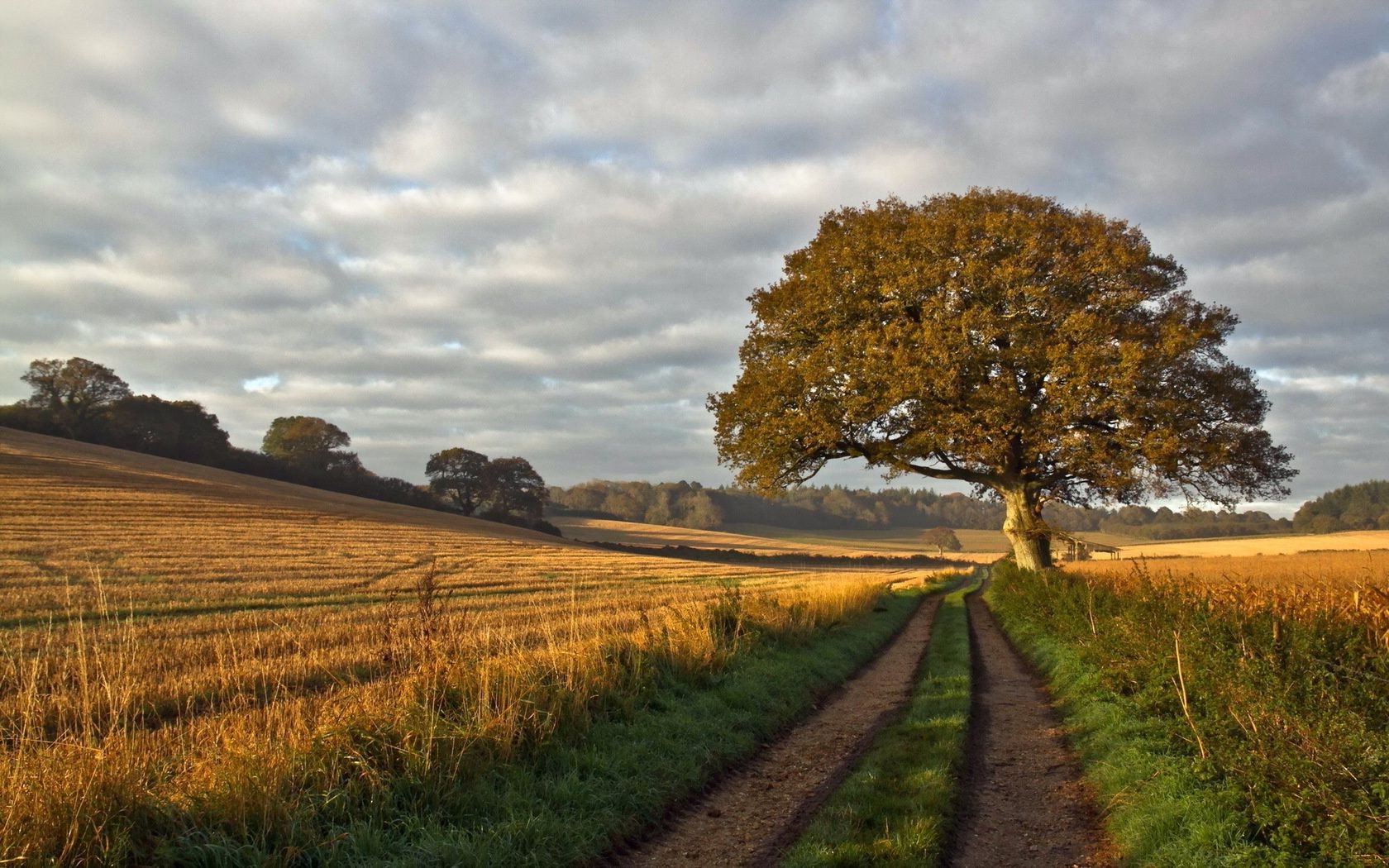 straße landschaft natur des ländlichen baum landschaft himmel landwirtschaft feld gras im freien herbst land bebautes land bauernhof weide holz