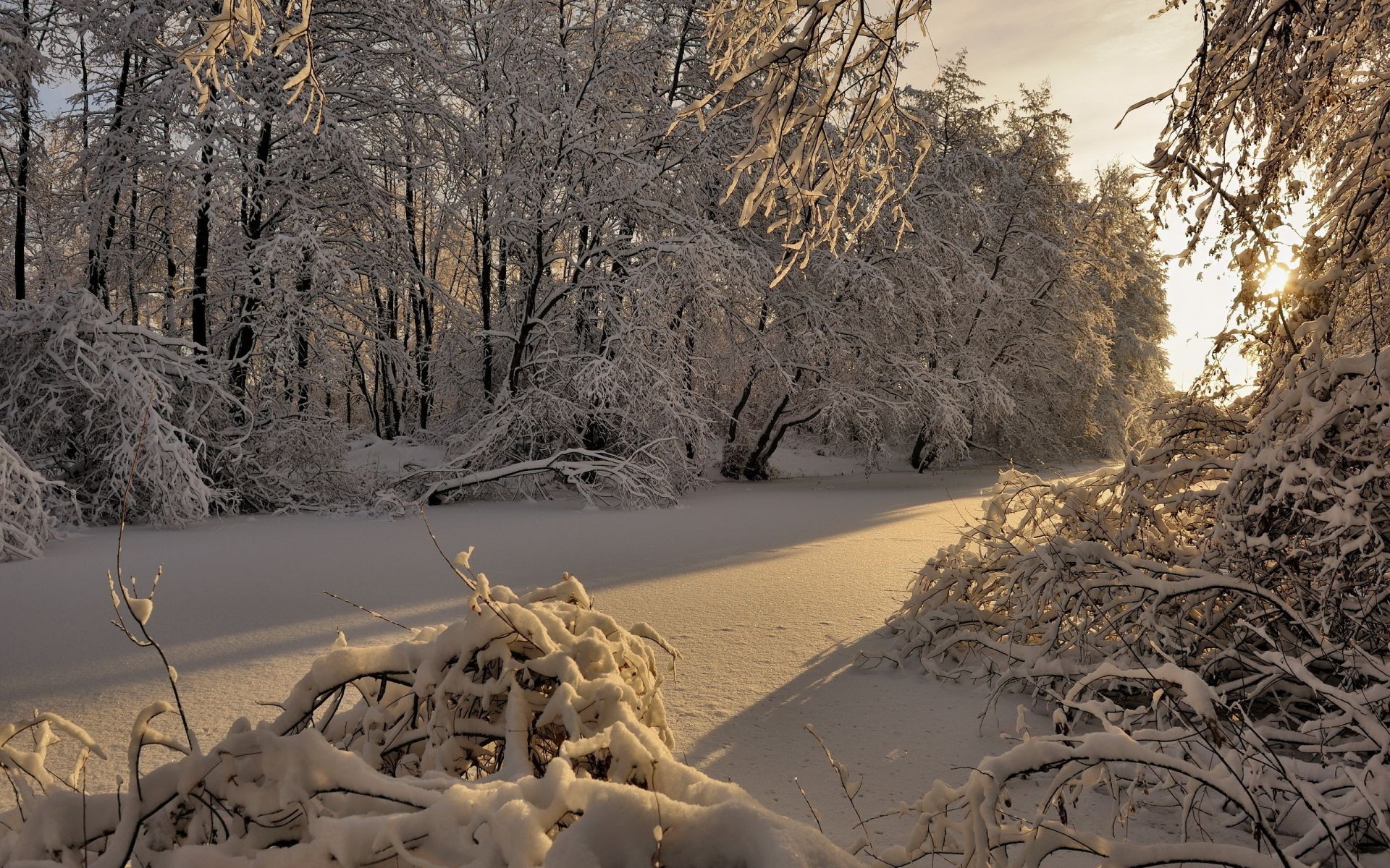 winter schnee baum landschaft natur kalt frost im freien saison gefroren holz park straße wetter eis mittwoch gutes wetter herbst