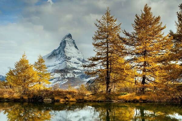 Paisaje otoñal de bosques y montañas