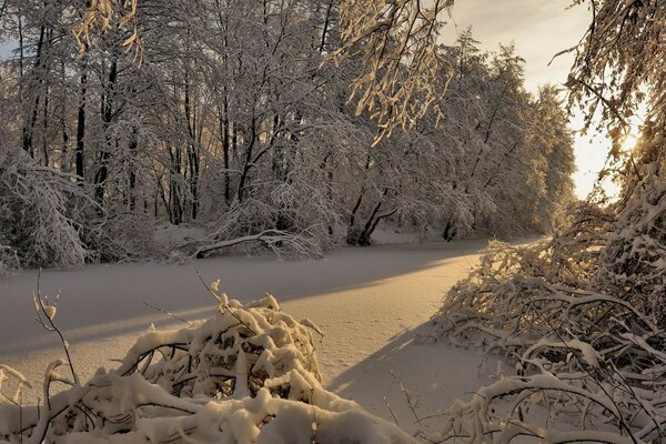 Sonnenuntergang Landschaft mit winterlicher Natur