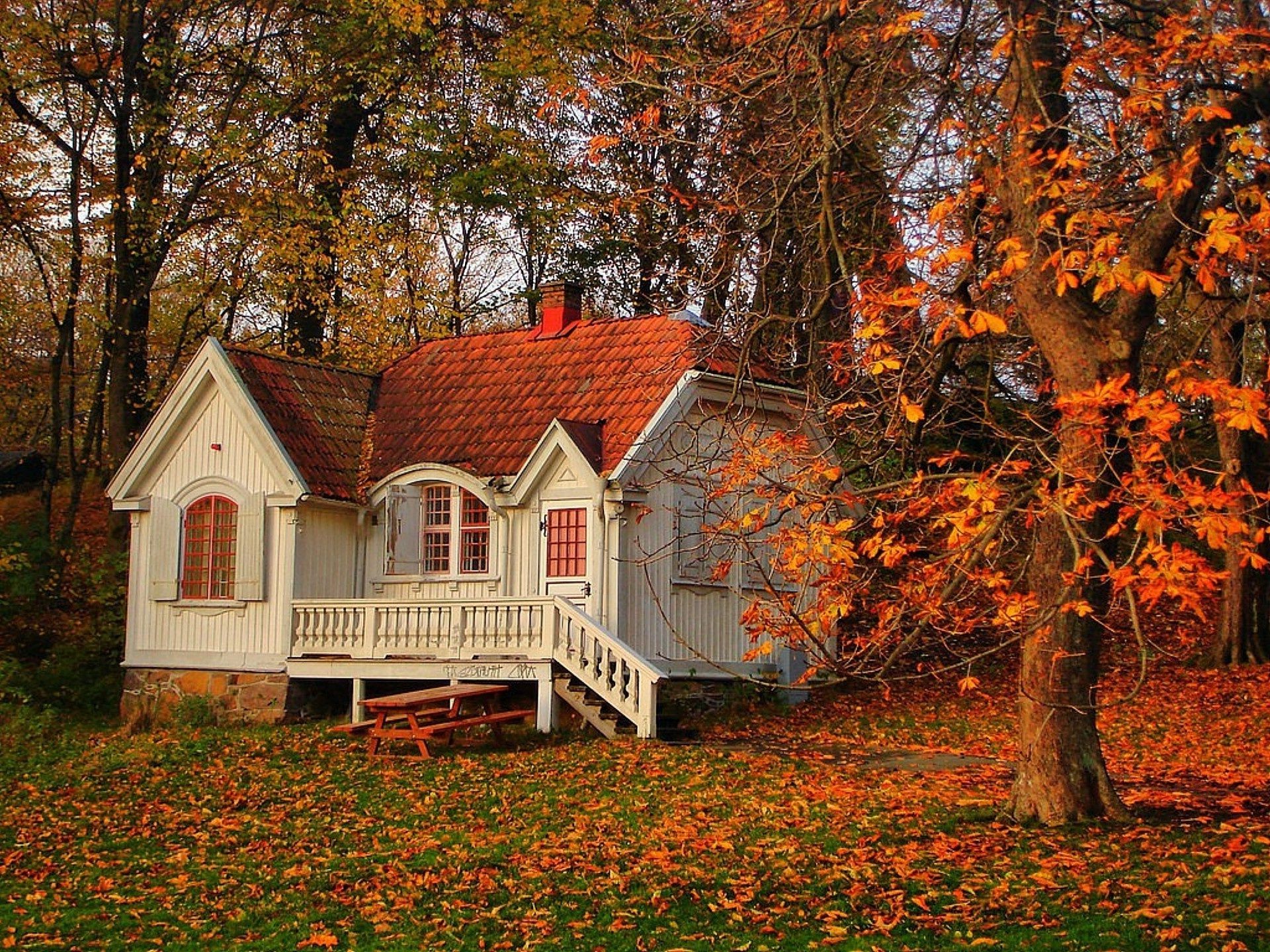 automne automne bois bois feuille maison à l extérieur maison