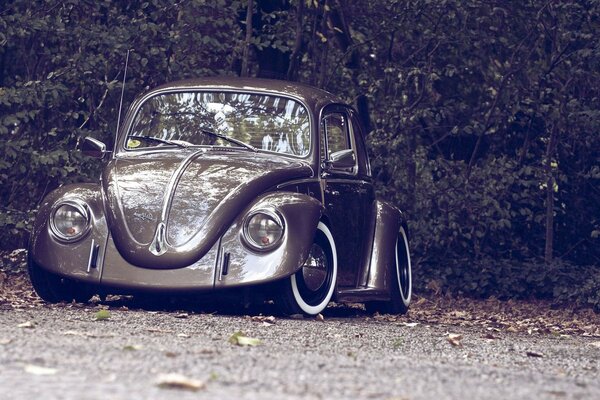 Coche en el fondo del bosque