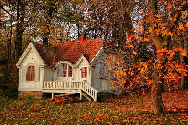 Petite maison dans la nature pittoresque