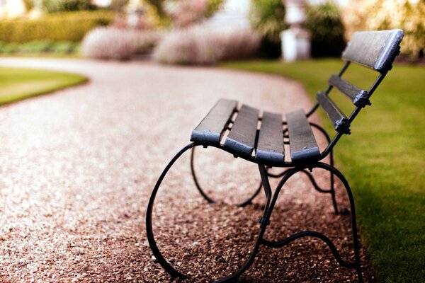 Early summer morning in the park