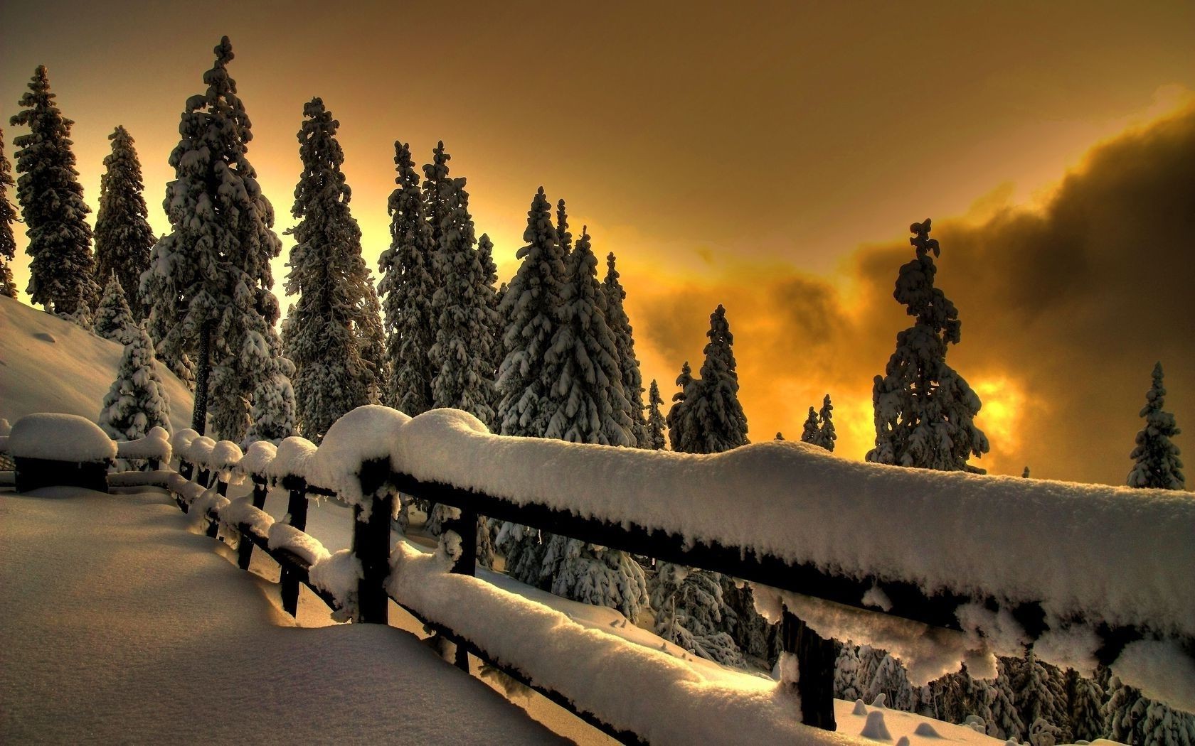 año nuevo nieve invierno viajes cielo madera puesta del sol al aire libre amanecer paisaje árbol naturaleza