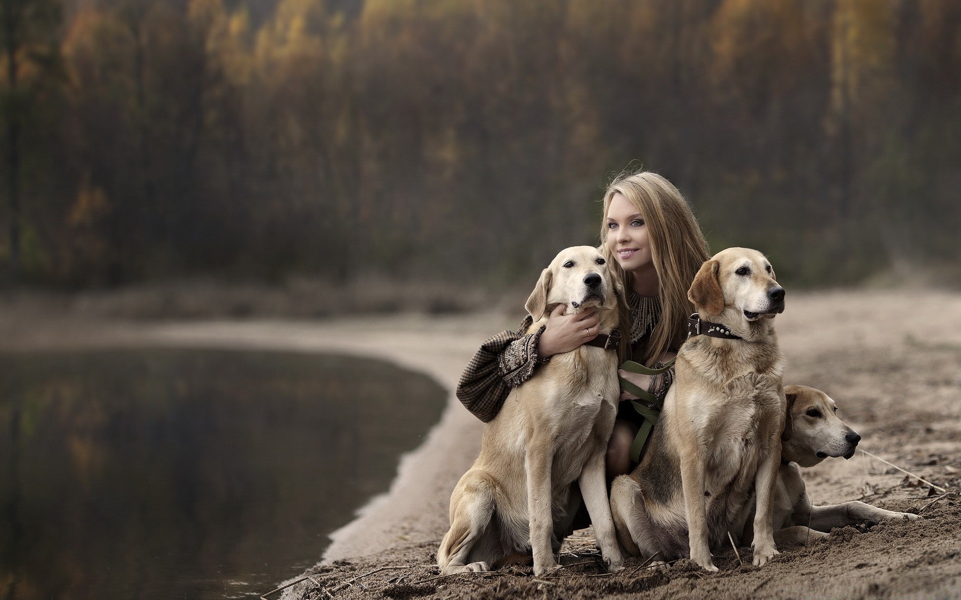 dogs dog outdoors mammal two nature canine pet