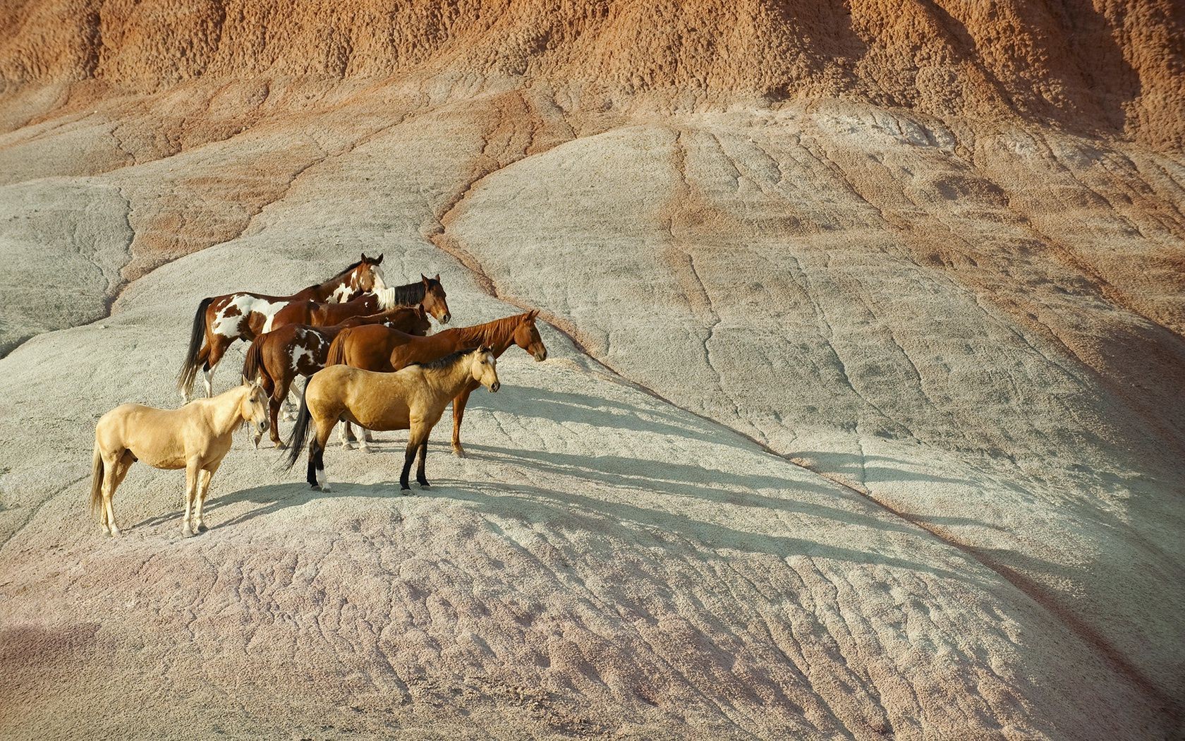 colinas deserto viajar rocha natureza ao ar livre areia montanhas seco mamífero