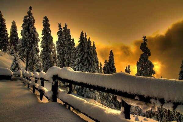 Paisagem coberta de neve com abetos e céu do pôr do sol