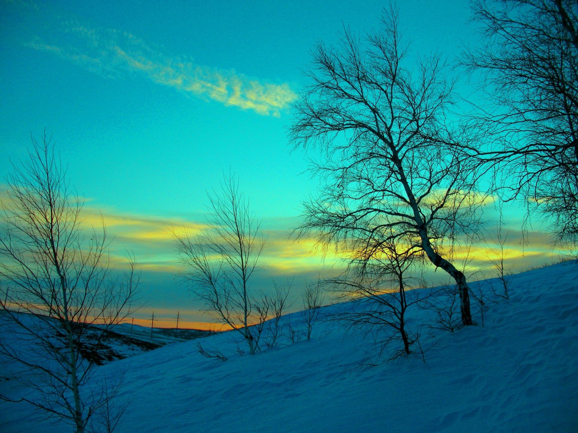 hiver aube paysage eau nature coucher de soleil arbre soleil beau temps ciel lac soir bois