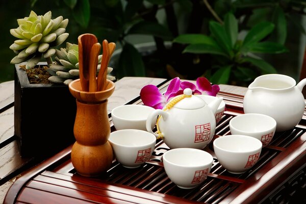 COFFEE SET AND INDOOR FLOWERS