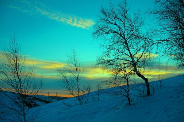 Landschaft des Winterfeldes Dämmerung