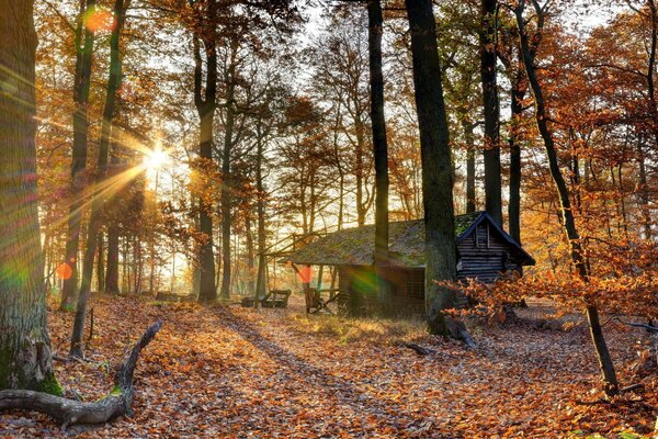 Casa antigua en el bosque de otoño