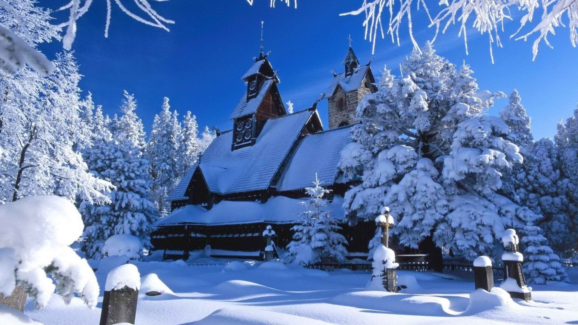 inverno neve frio madeira geada madeira gelo natal congelado temporada paisagem gelado tempo cênica neve-branco ao ar livre montanha