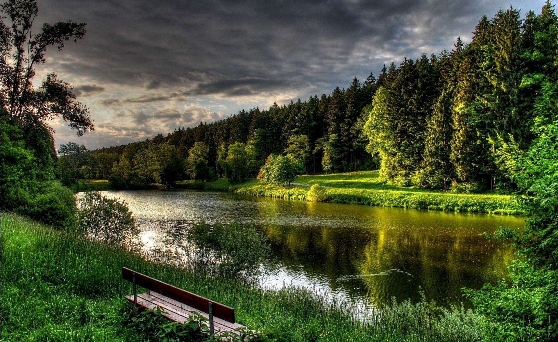 drzewa jezioro natura woda krajobraz rzeka drzewo na zewnątrz drewno trawa lato odbicie niebo malownicze podróże spokój park basen plesid idylla