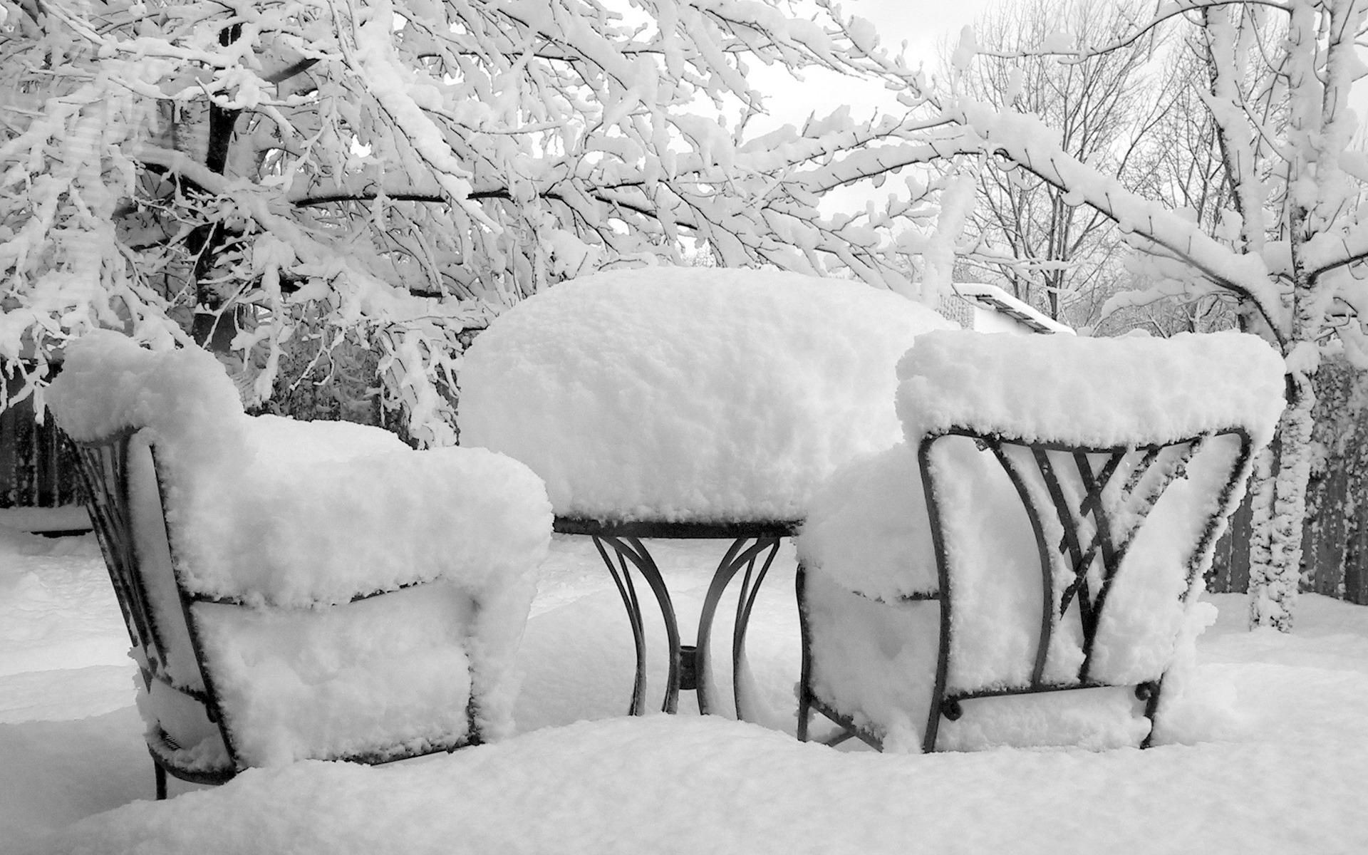 hiver neige gel froid congelé blizzard glace arbre saison bois météo neige-blanc givré à l extérieur nature noël meubles