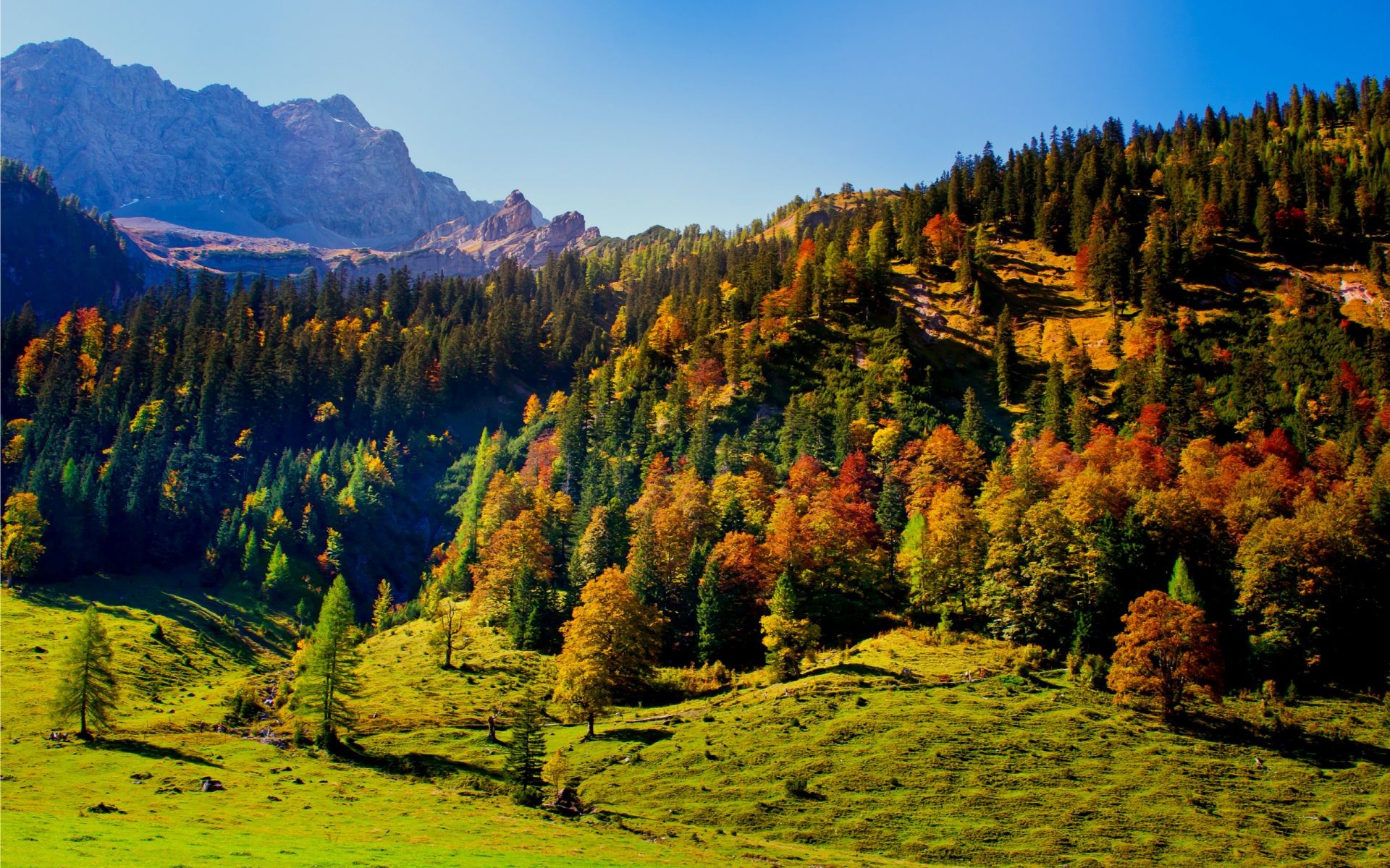 mountains fall wood outdoors nature landscape tree mountain travel scenic sky daylight valley leaf