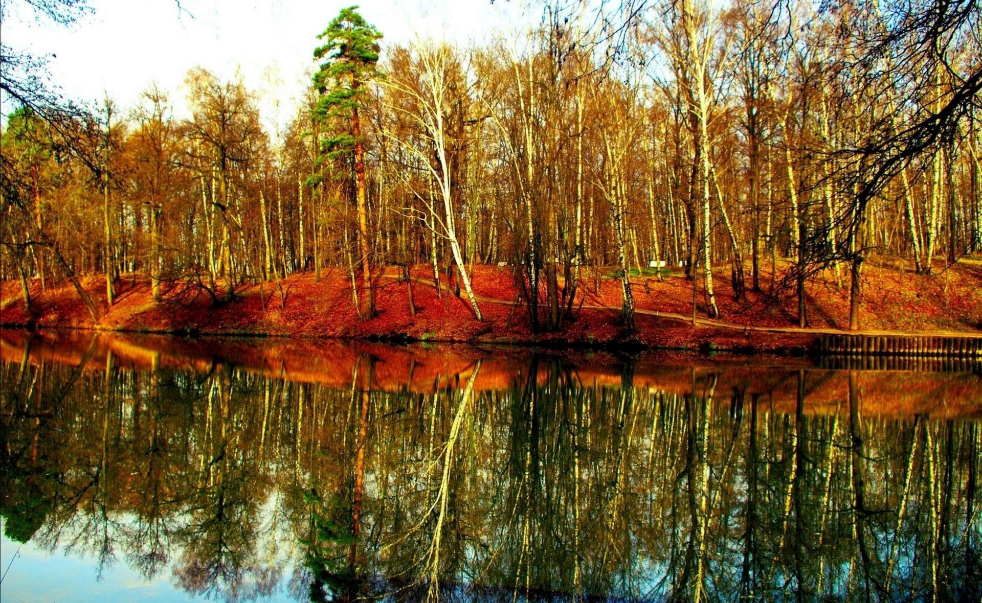 flüsse teiche und bäche teiche und bäche holz natur holz blatt landschaft wasser herbst reflexion umwelt saison im freien flora fluss des ländlichen park farbe gutes wetter landschaftlich see