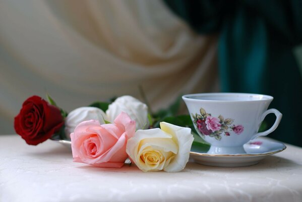 Taza de Bodegón en platillo y rosas multicolores