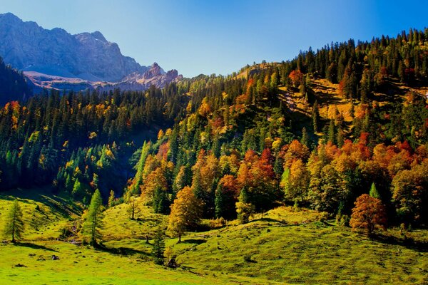 Österreich Herbst Himmel Bäume Tirol Hügel Berge karwende