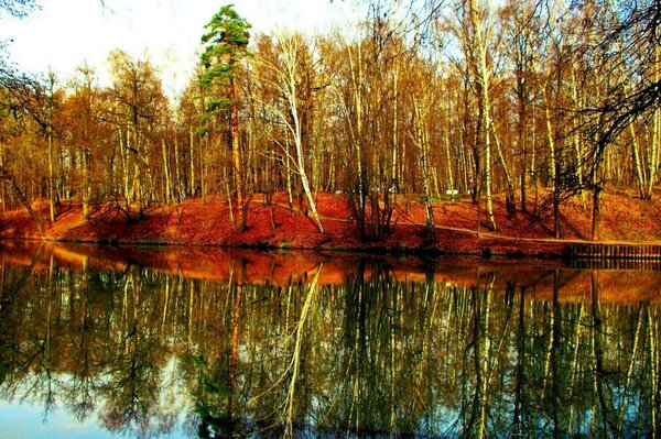 Река. Осенний лес. Отражение в воде