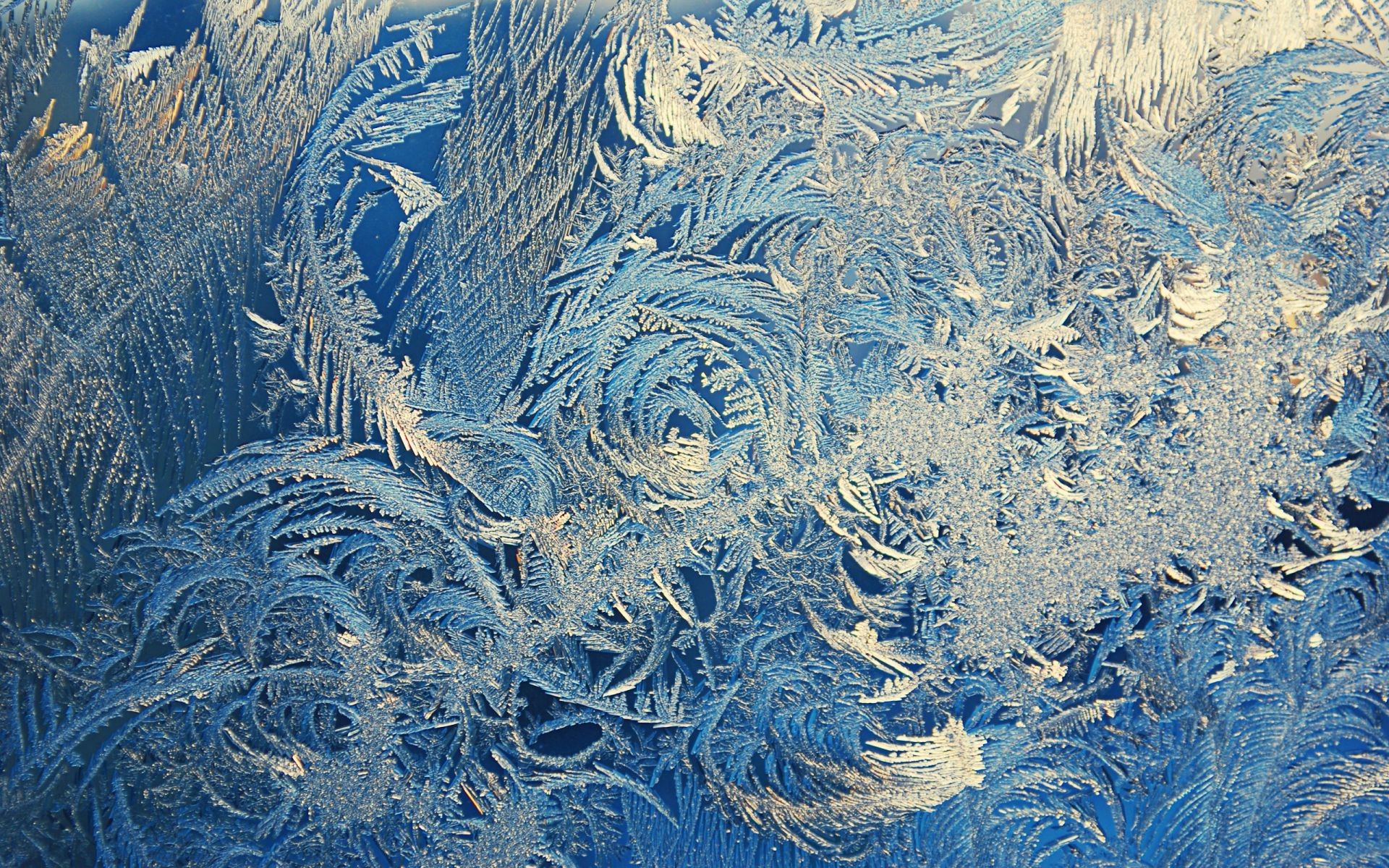 стекло мороз холодная природа снег лед зима ледяной рабочего стола морозный шаблон замороженные аннотация текстура цвет кристалл