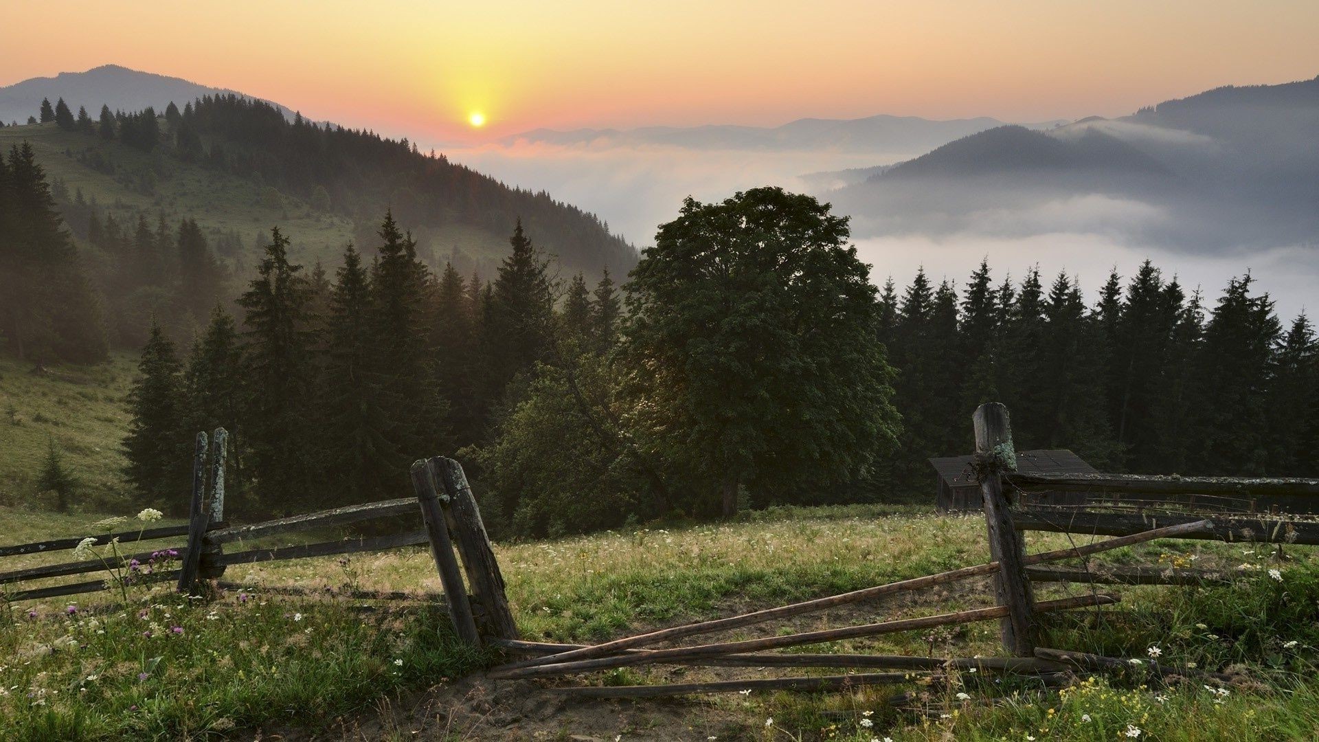 landscapes landscape tree wood outdoors mountain travel nature daylight dawn fence fall scenic sky sunset light grass