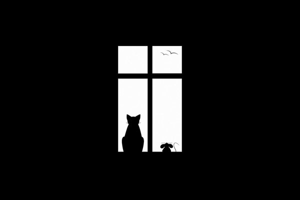 Silhouetten von Katze und Maus auf Fensterhintergrund