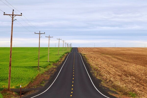 The road between two fields