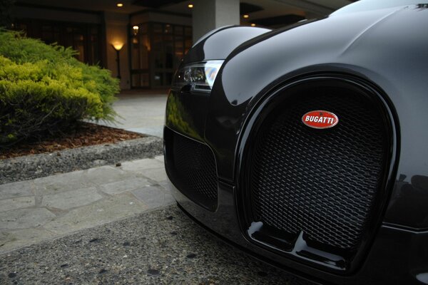 The front bumper of a Bugatti parked near a green bush