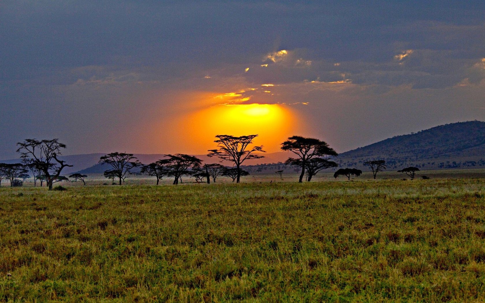 campos prados e vales pôr do sol paisagem amanhecer natureza grama céu noite árvore pastagens viagens sol ao ar livre crepúsculo campo