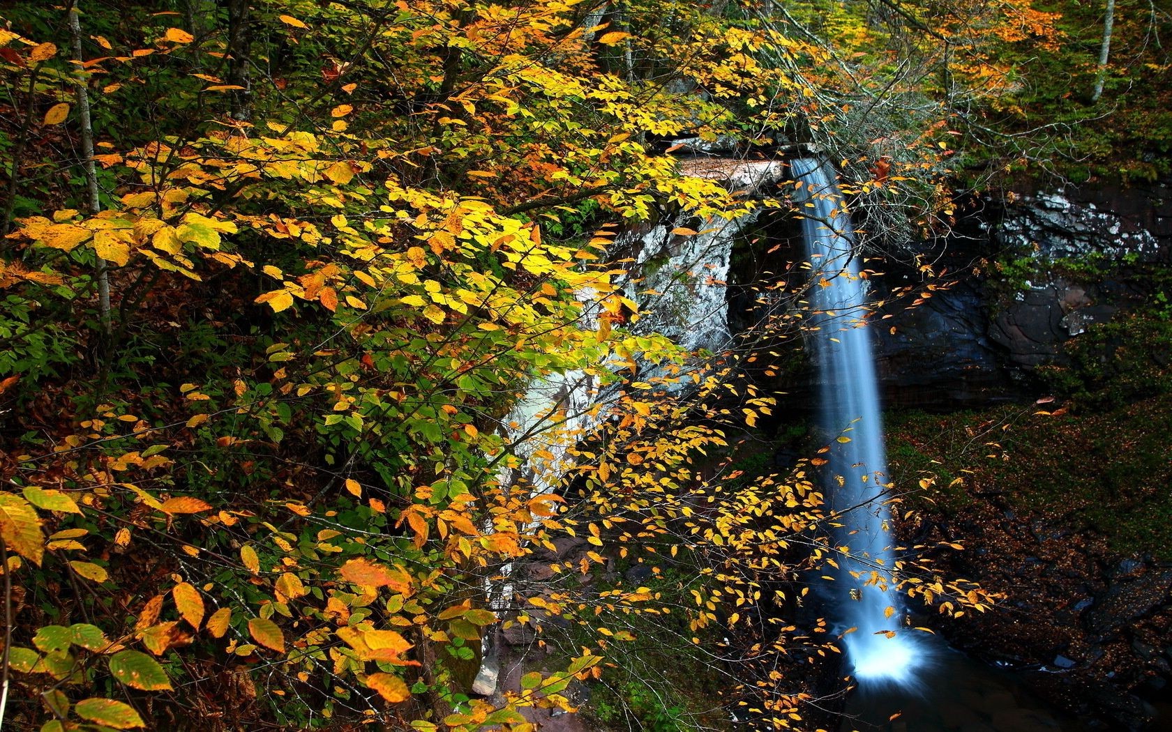 cachoeiras outono folha madeira árvore natureza ao ar livre paisagem parque maple exuberante cênica temporada luz do dia água ambiente bom tempo