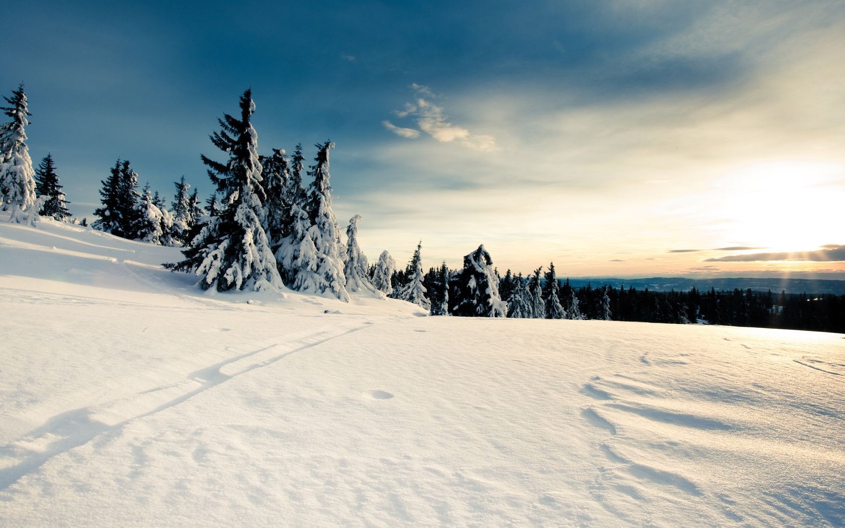 invierno nieve frío escarcha congelado hielo paisaje escénico tiempo madera montaña resort árbol temporada pista buen tiempo naturaleza