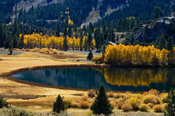 Die Berge. Landschaft. See. Wald