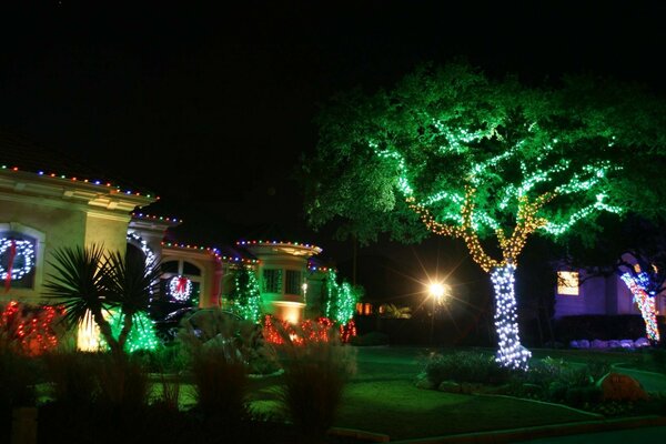 Bäume und ein Haus mit Girlanden auf dem Hintergrund der Nacht geschmückt
