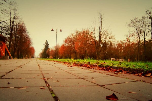 Paisaje urbano de otoño desde un ángulo inusual