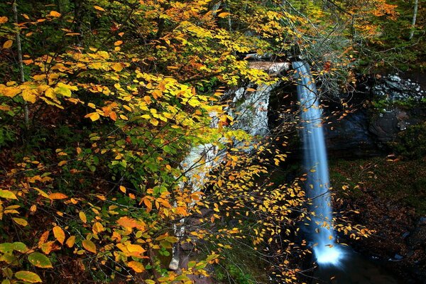 Cascata di montagna in una tranquilla foresta autunnale