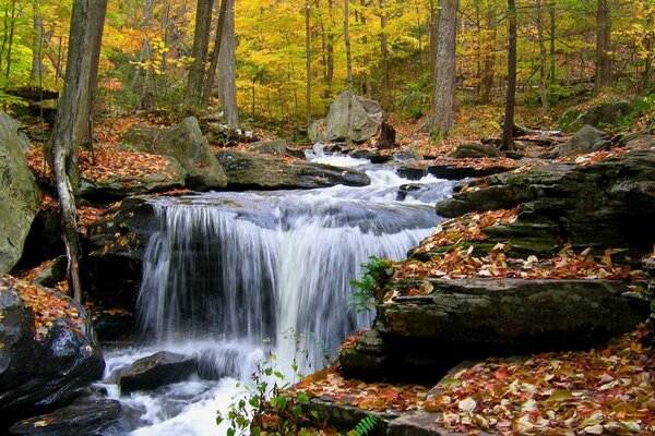 A quiet waterfall on a calm river in an autumn forest