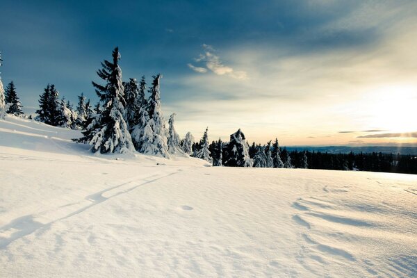 The trail on a frosty winter morning